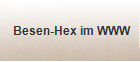 Besen-Hex im WWW