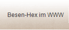 Besen-Hex im WWW