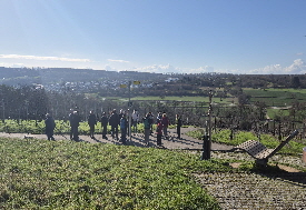 WhatsApp Image 2026-03-30 at 13.14.04