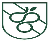 WhatsApp Image 2026-03-31 at 17.38.17