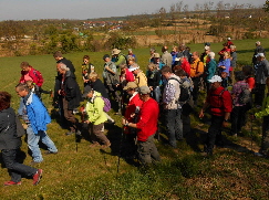 NetObjects Web Design Placeholder