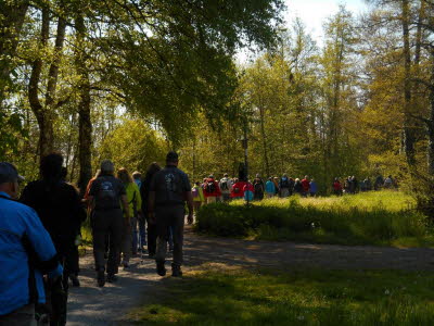 25_jahre_wg_besenhex___82_