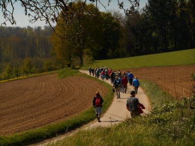 25_jahre_wg_besenhex___84_